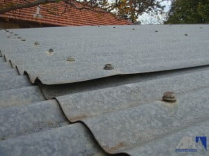 Roof Exterior 2