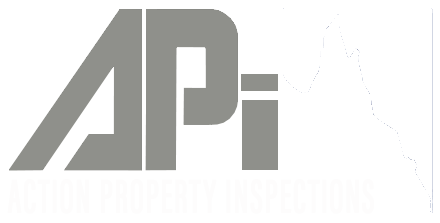 Action Inspections
