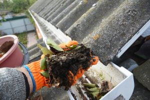 Property Maintenance