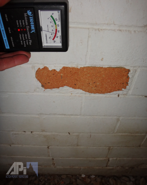 Rising Damp Issues