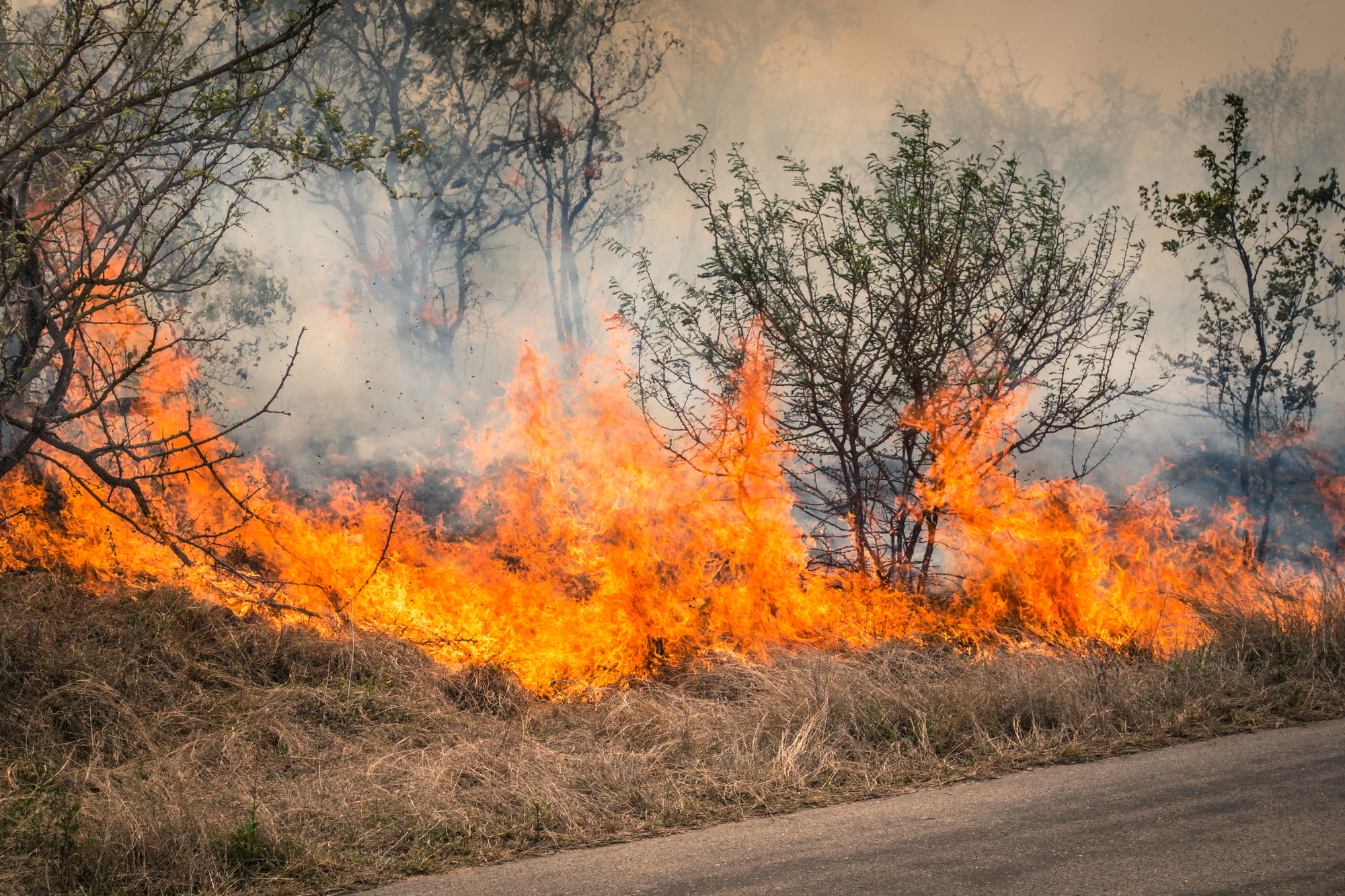 Are you buying your new home near bushland in Brisbane? Find out what you need to know about a fire rated wall to protect your family from bushfire.