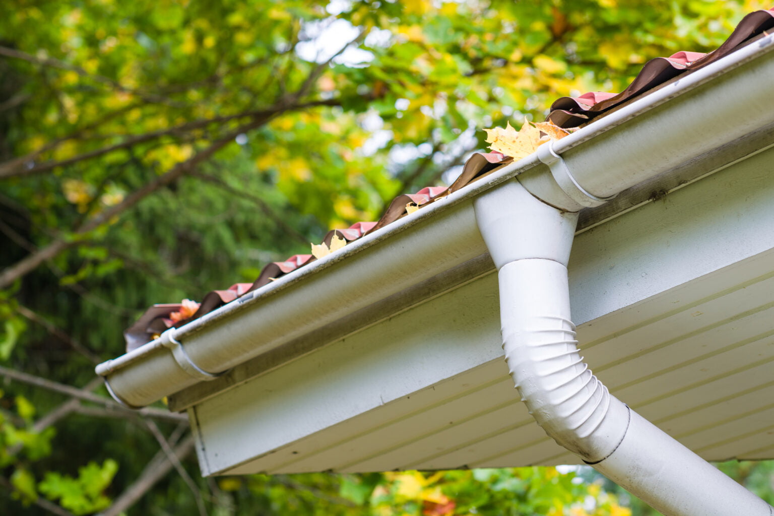 Are Blocked Gutters and Downpipes a Serious Property Defect?