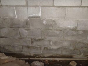Tide marks on walls are signs of rising damp water damage in brisbane properties