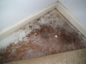 Underfloor water damage