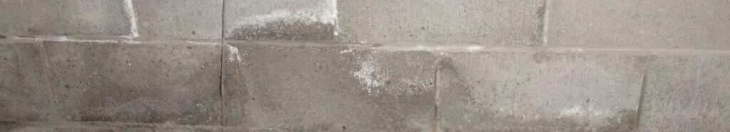 Rising damp - one kind of damp issue for Brisbane properties