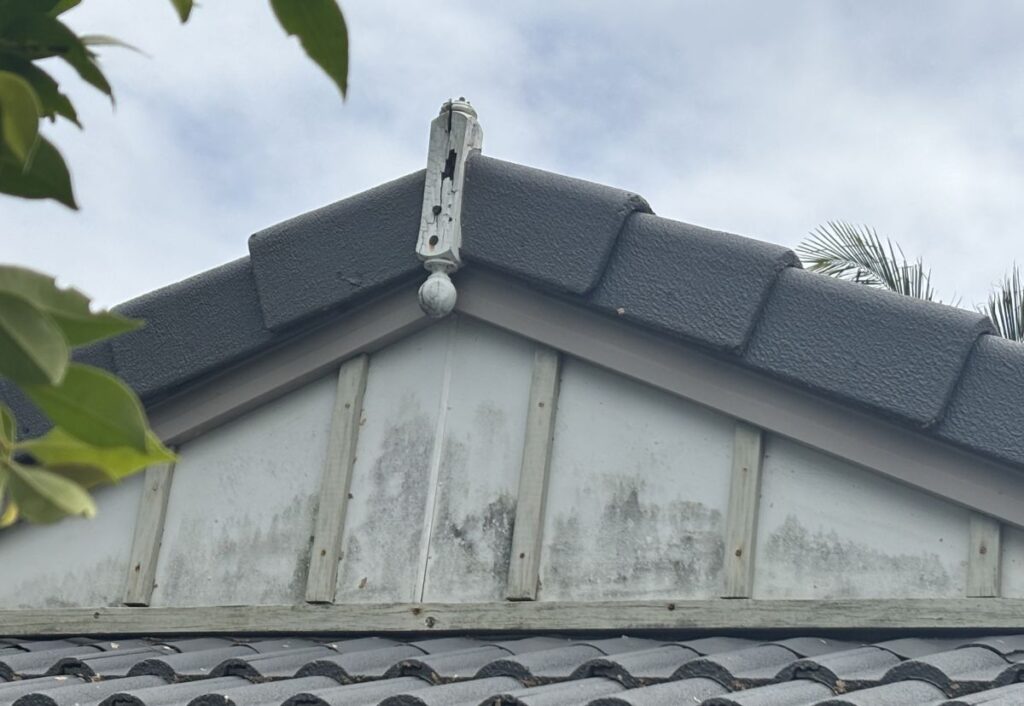 Rotting timber finial, mould on cladding